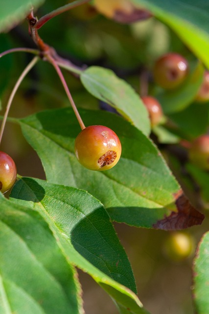 球迷：这队已经提前预定冠军
