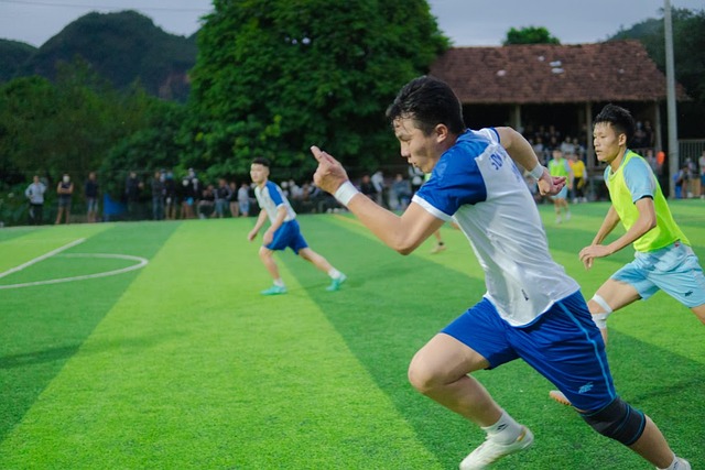 以确保阵容 以确保阵容