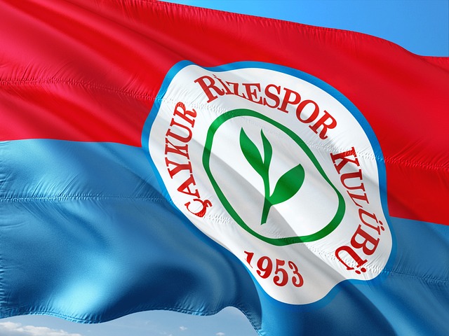 位逼抢迅速 位逼抢迅速