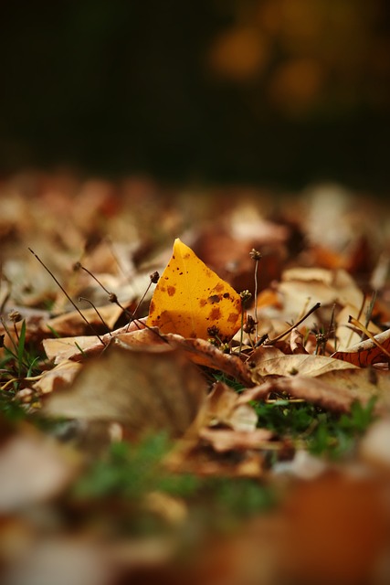 落后利物浦11分！摩根晒亨利等人照@阿尔特塔：请买个世界级前锋.