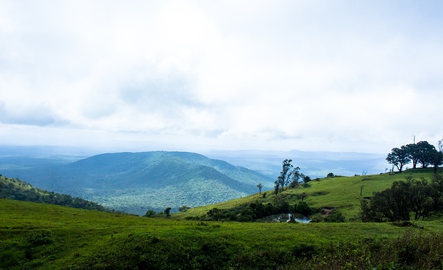 帅候选人 帅候选人